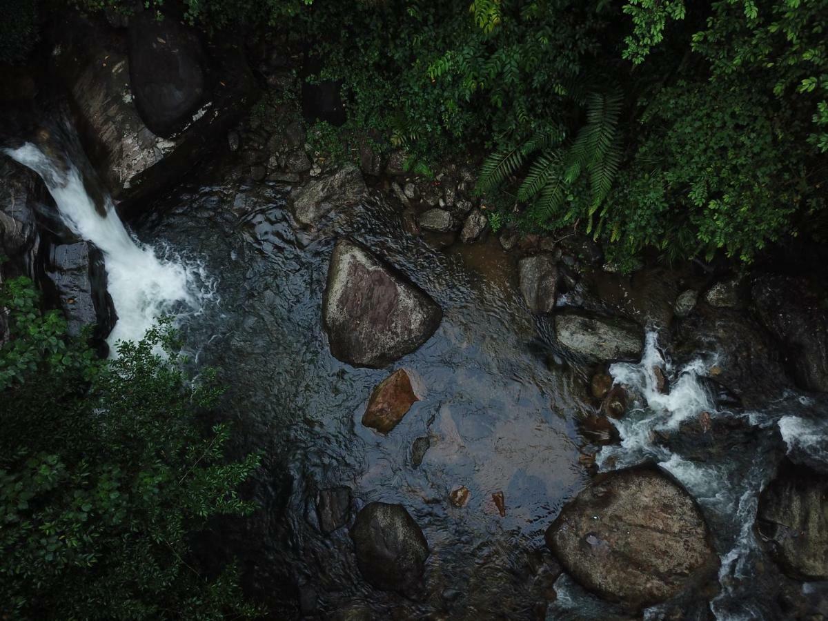 Gallene Gala Nature Resort キトゥルガラ エクステリア 写真